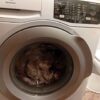 washing machine repair near me