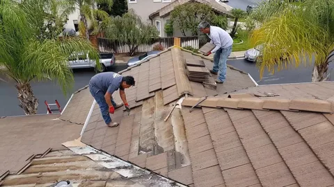 Chimney Repairs